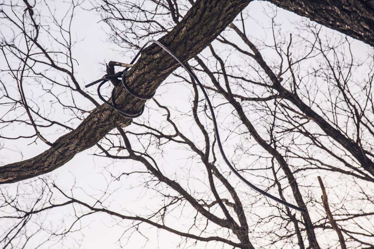 Мы только подходим, а на одном из деревьев уже повешен шнур 