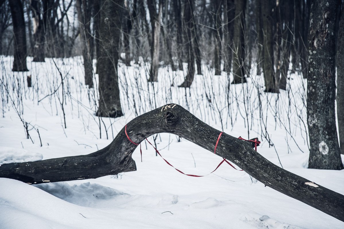 Приверженцы различных культов тут проводят свои ритуалы и по сей день