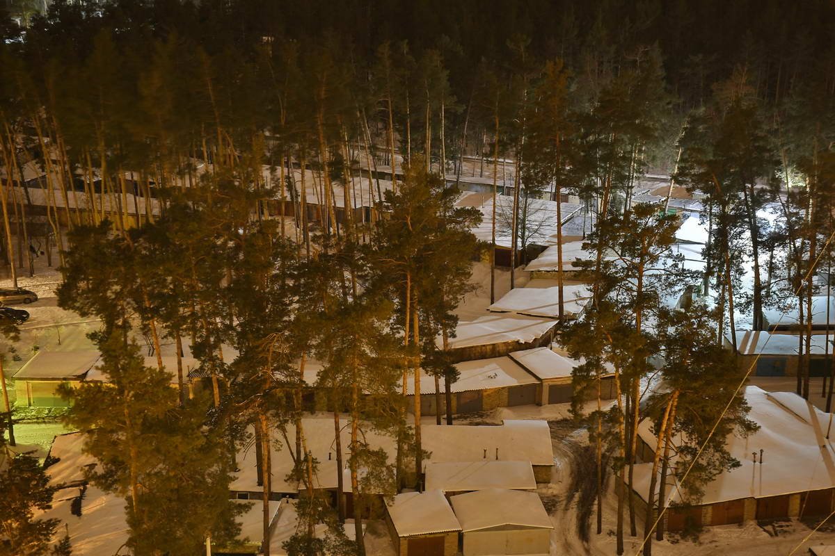 Конча-Заспа практически полностью состоит из живописного соснового леса Конча-Заспа практически полностью состоит из живописного соснового леса