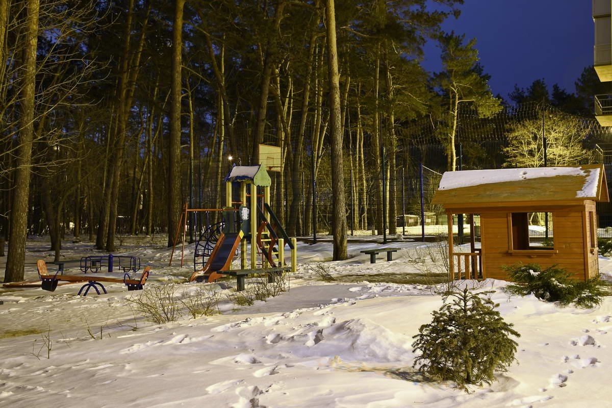 Деревья вросли в жизнь жителей Конча-Заспы Деревья вросли в жизнь жителей Конча-Заспы
