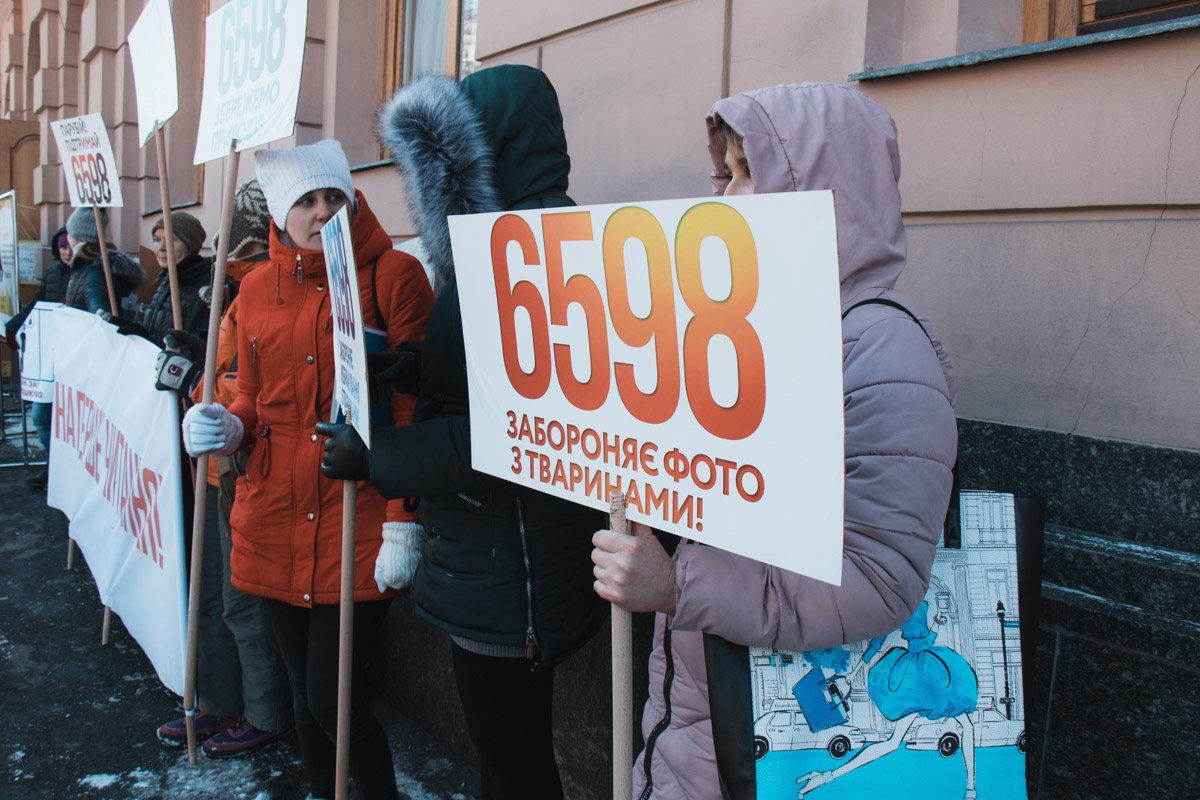 На акцию собрались около 10 зоозащитников На акцию собрались около 10 зоозащитников