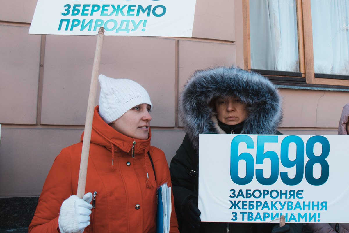 Активисты требовали, чтобы депутатами был принят законопроект № 6598 Активисты требовали, чтобы депутатами был принят законопроект № 6598