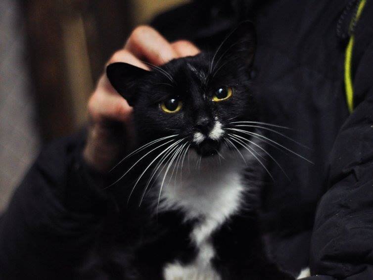 Шерон ищет настоящего друга