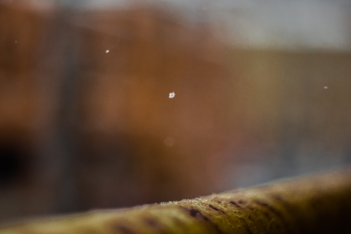 У каждой малышки-снежинки свои неповторимые узоры 