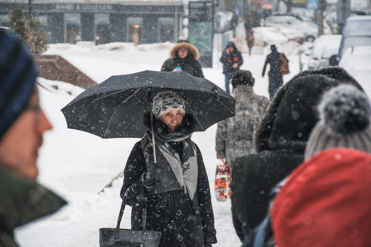 Каждый скрывается от снега, как может 