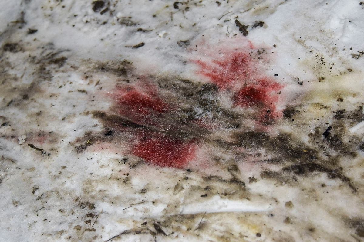 Жуткие следы происшествия