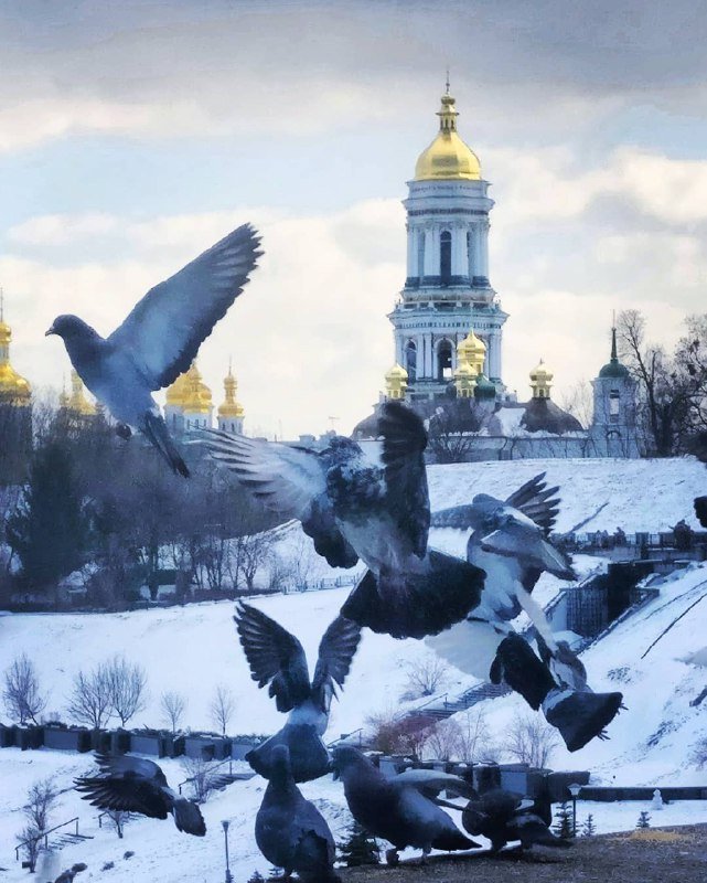 Голуби-голуби... Фото Lenchi