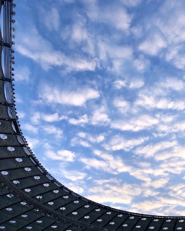 В суете будней не всегда замечаешь красоту над головой. Фото P O L I N A M A L Y S H