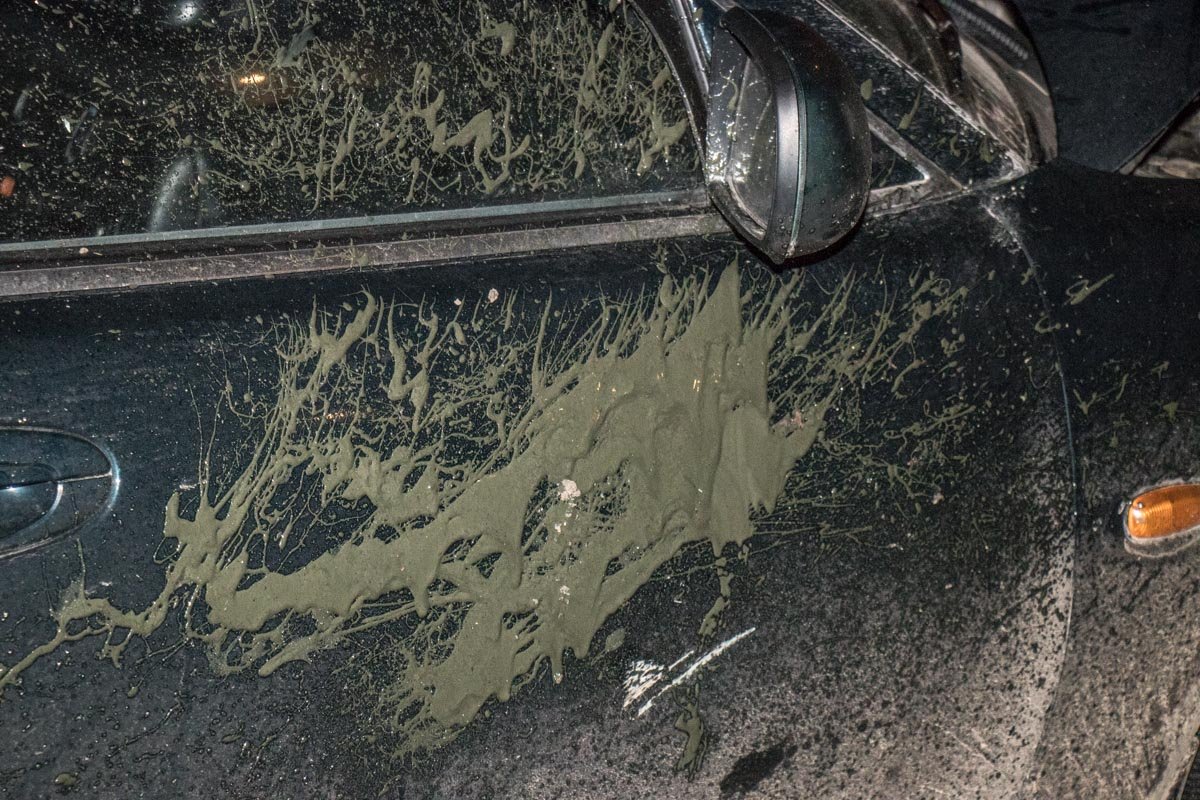 На автомобиле застыла грязь На автомобиле застыла грязь