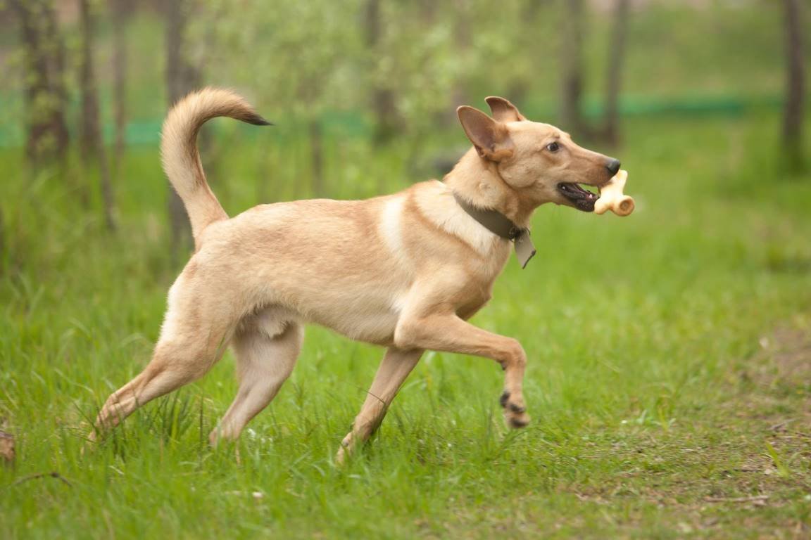 Тай очень хочет обрести семью