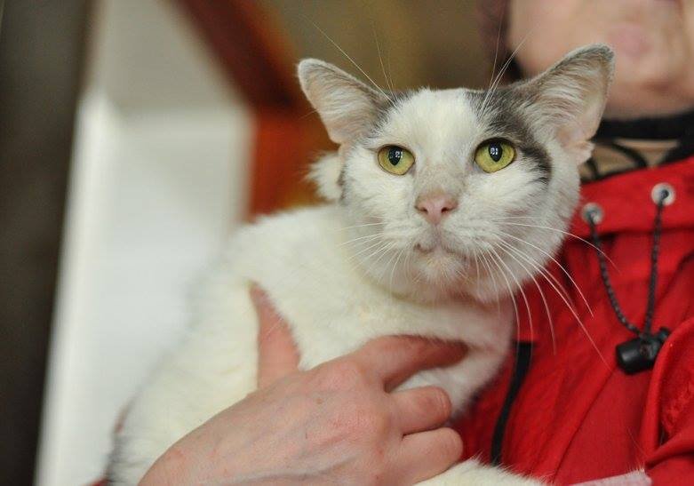 В приюте Биллу очень грустно и одиноко