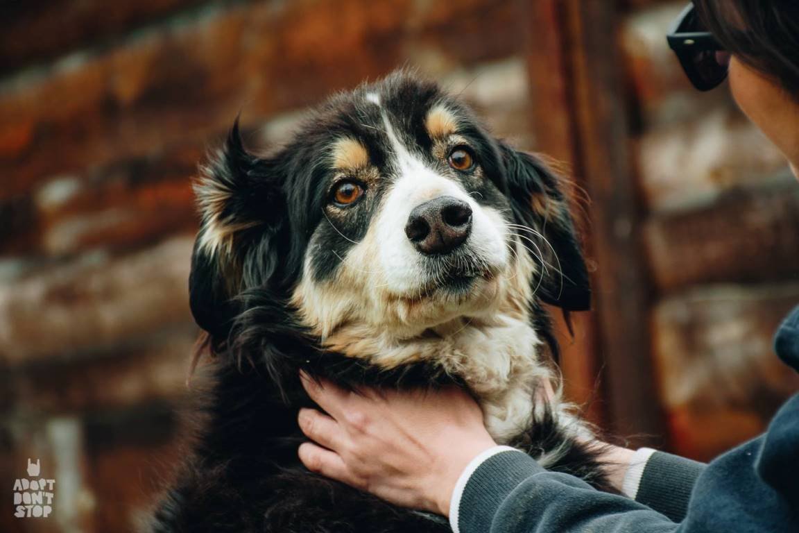 Шикарный и добрый Бармалей ждет именно вас