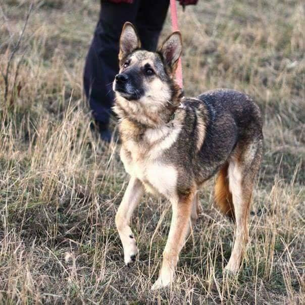 Маша перенесла девять сеансов химиотерапии