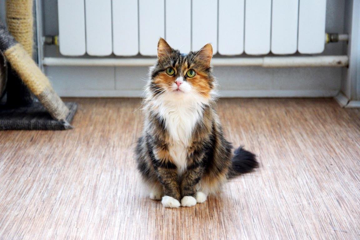 Нора необыкновенная, она не может видеть, но умеет любить по-настоящему