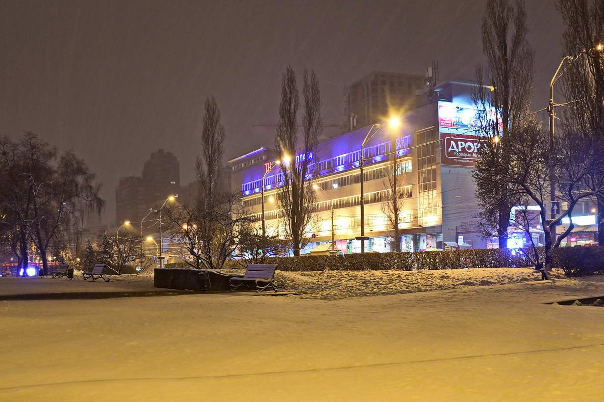 Погода добавила белых красок на Лыбедской площади Погода добавила белых красок на Лыбедской площади