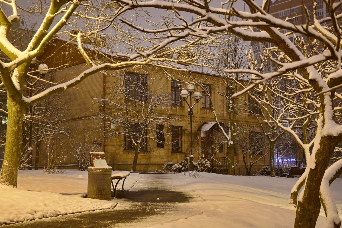Музей Заньковецкой спрятался за голыми деревьями Музей Заньковецкой спрятался за голыми деревьями