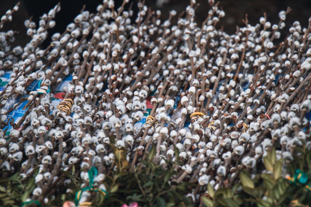 Говорят, если в Вербное воскресенье тепло и сухо – летом будет большой урожай фруктов