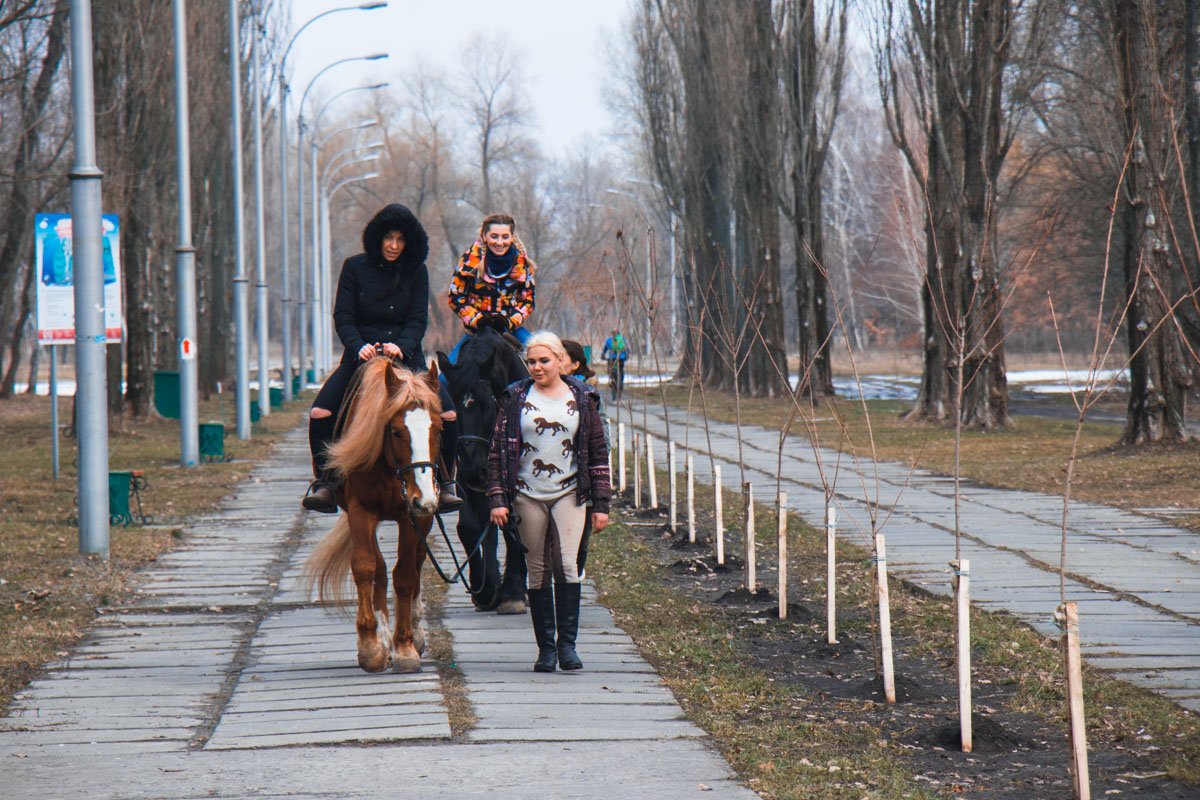 Круглый год в парке можно найти себе развлечения