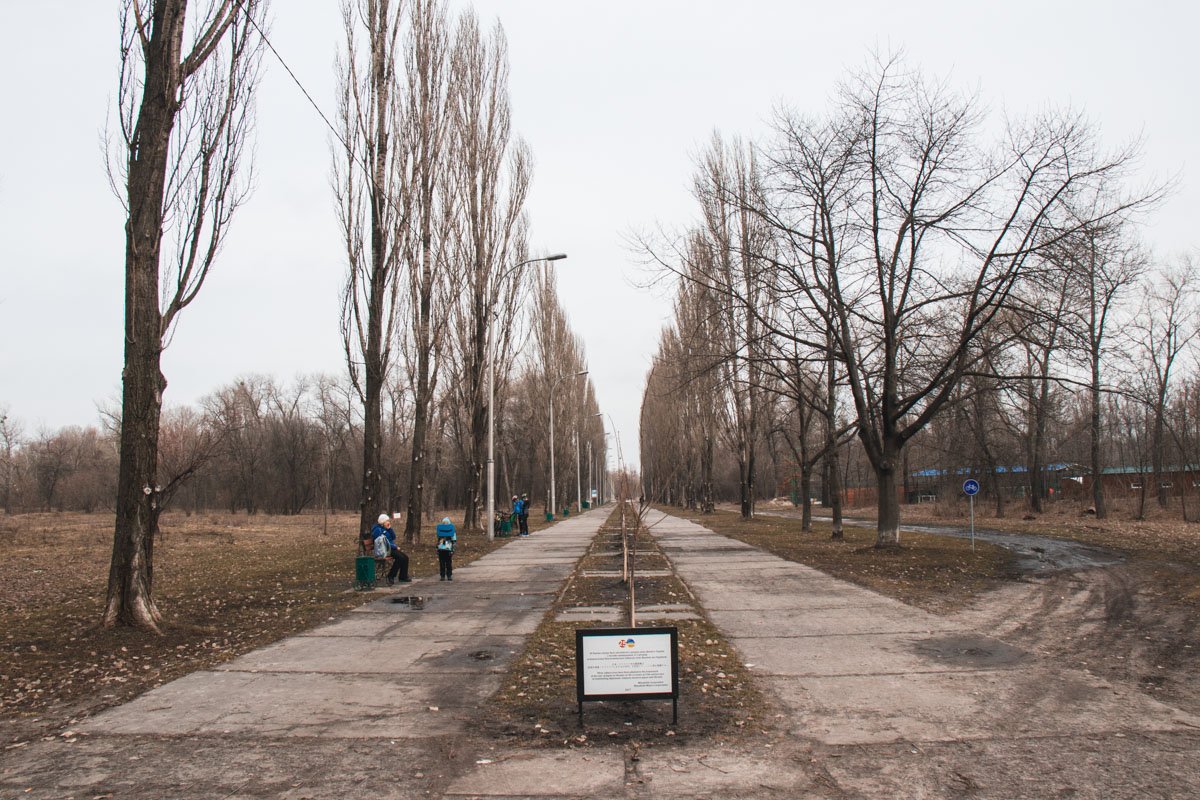 В парке расположены клуб водных видов спорта «Экстремальная тяга» с воднолыжной канатно-буксировочной дорогой (длина кольца канатной дороги — 560 метров), площадка для игры в пейнтбол клуба «Планета», велоклуб «PARTYZAN», работают кафе, ресторан