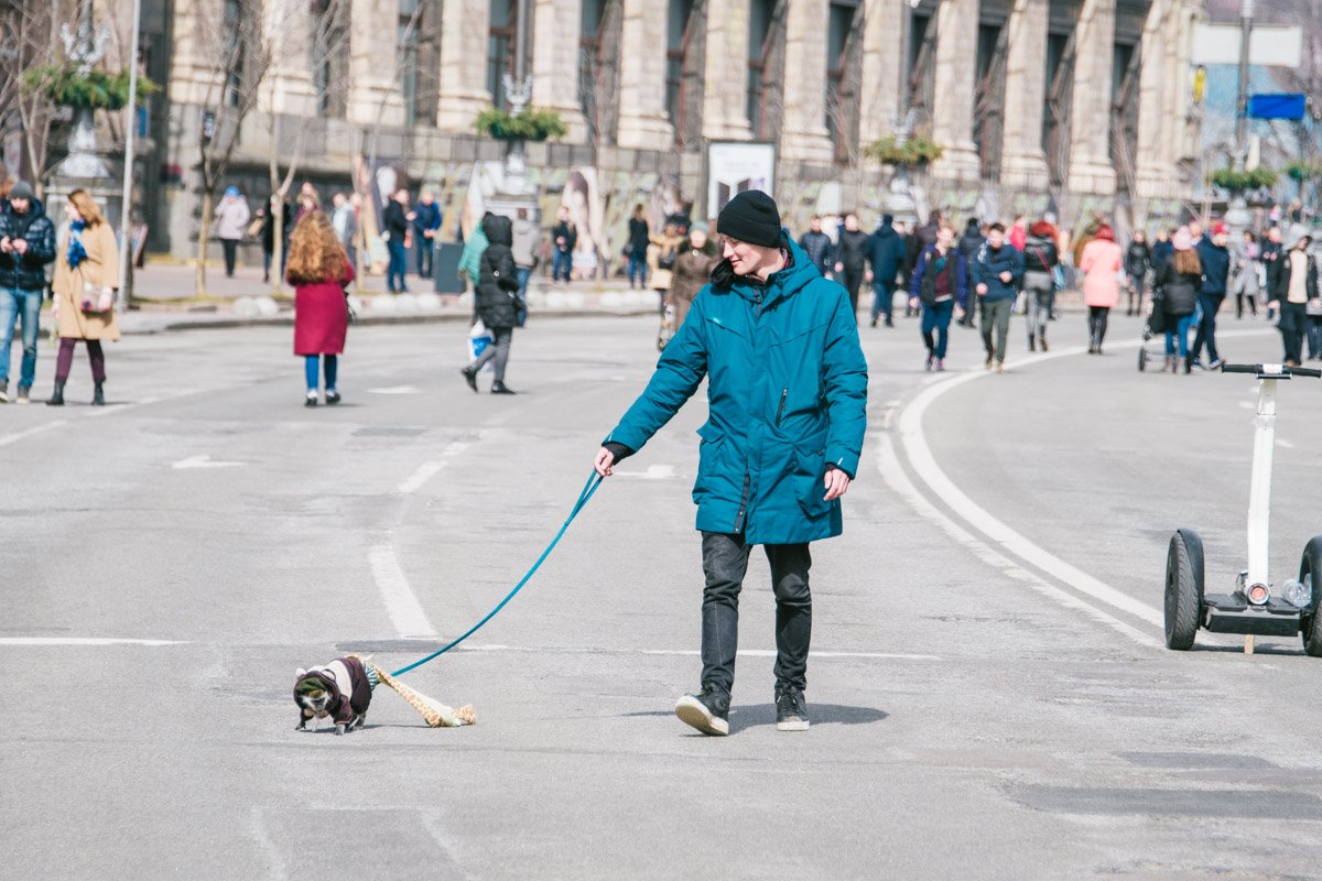 Несмотря на теплоту, обезьянки пока не спешат снимать верхнюю одежду 