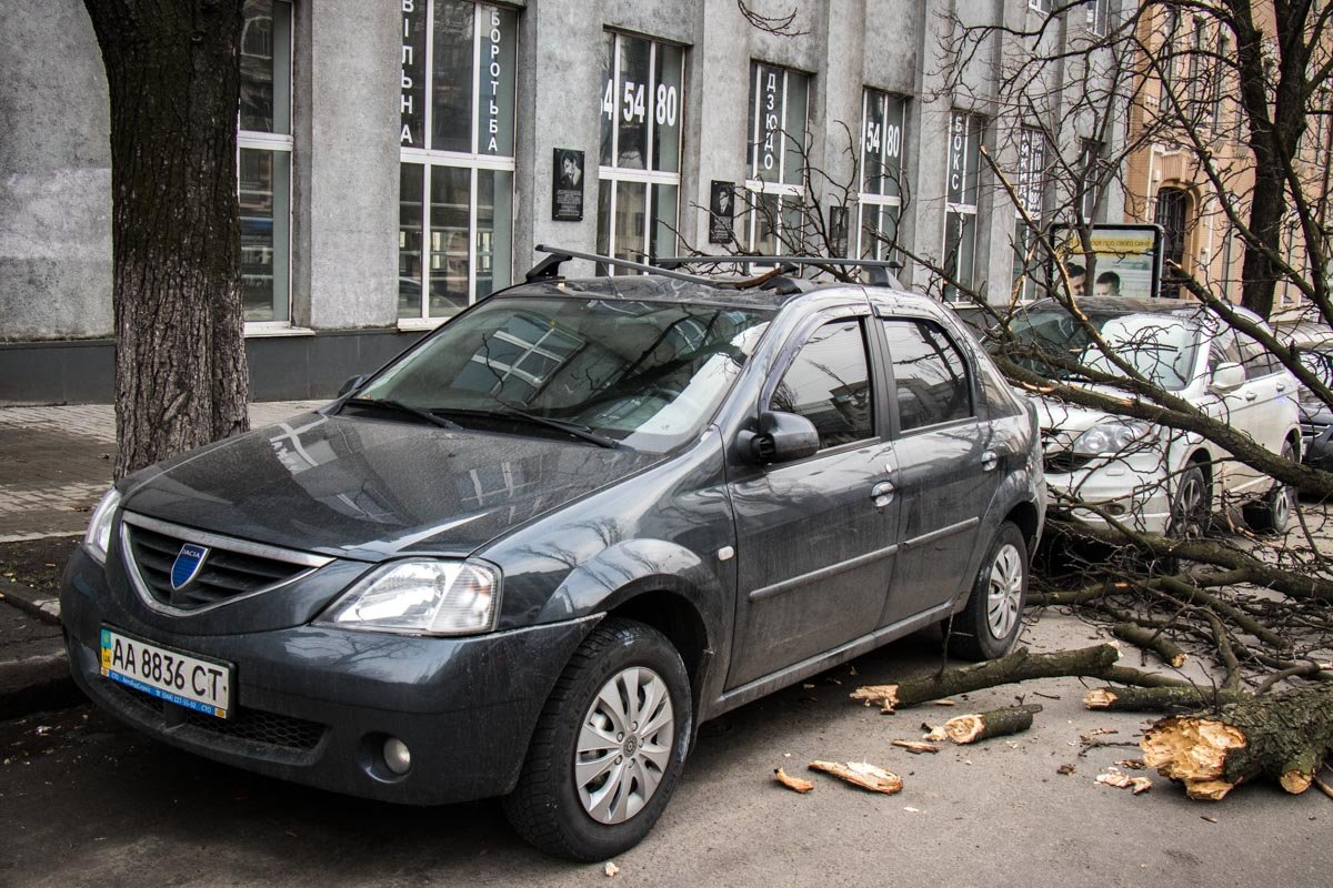 Ветка упала около 15:00 часов дня автомобили Dacia и Honda
