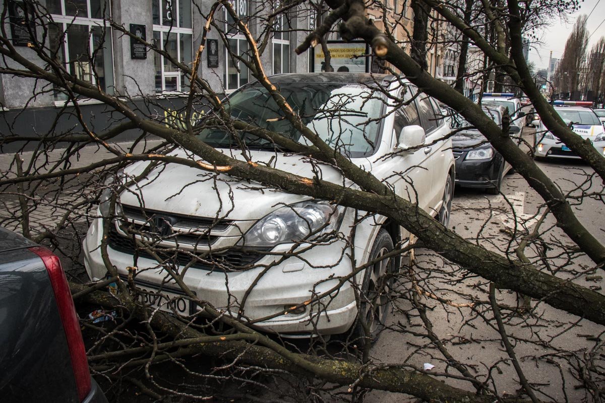 Автомобили получили повреждения – царапины и вмятины. Пострадавших нет