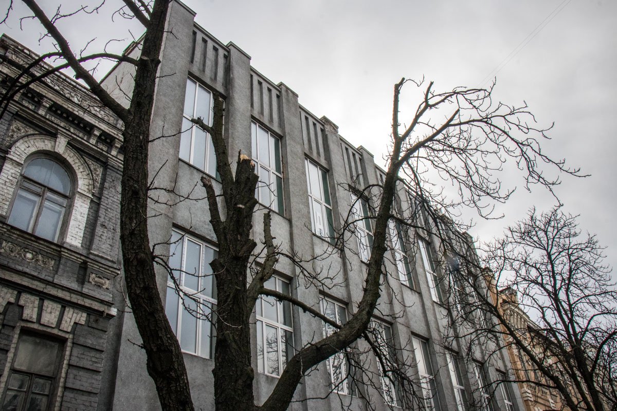 Отметим, что примерно на 30 метров ниже от происшествия аналогичные деревья вдоль дороги спилены