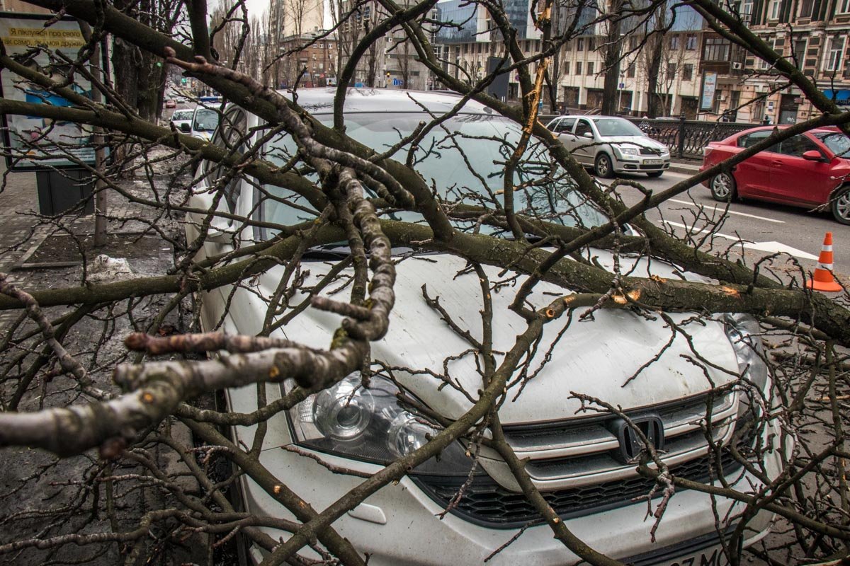 В связи с этим происшествием был перекрыт первый ряд движения транспорта. Пробку это не спровоцировало
