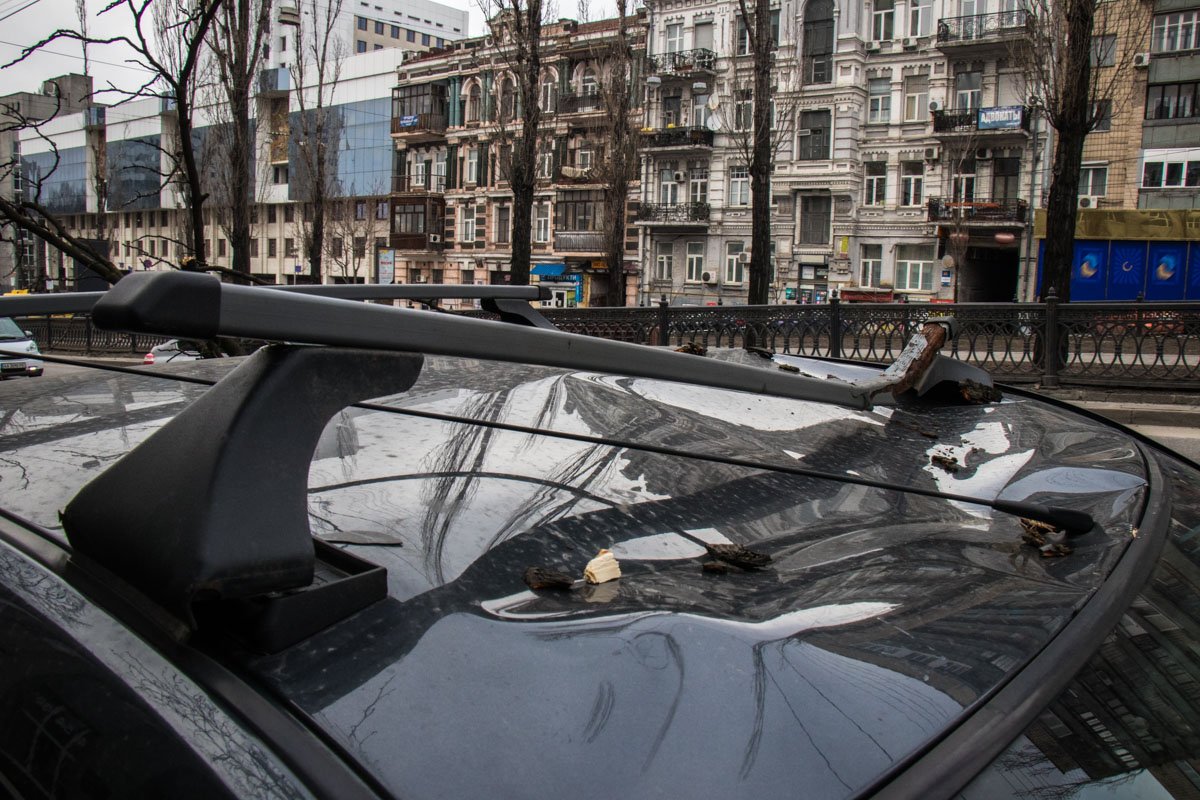 Повреждения автомобиля Dacia