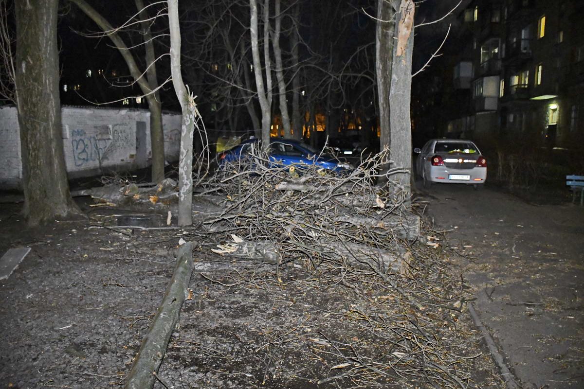 1 апреля сильный ветер в Киев привел к падению нескольких деревьев