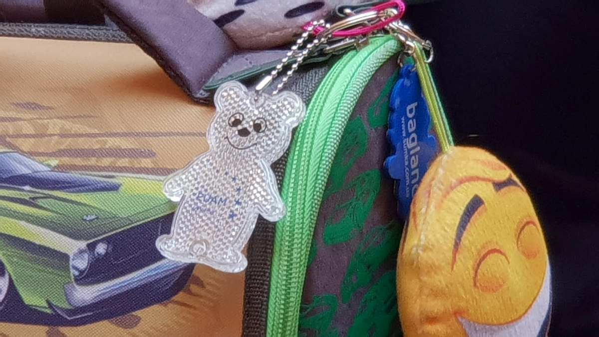 Малышам подарили фликеры - световозвращающие элементы Малышам подарили фликеры - световозвращающие элементы