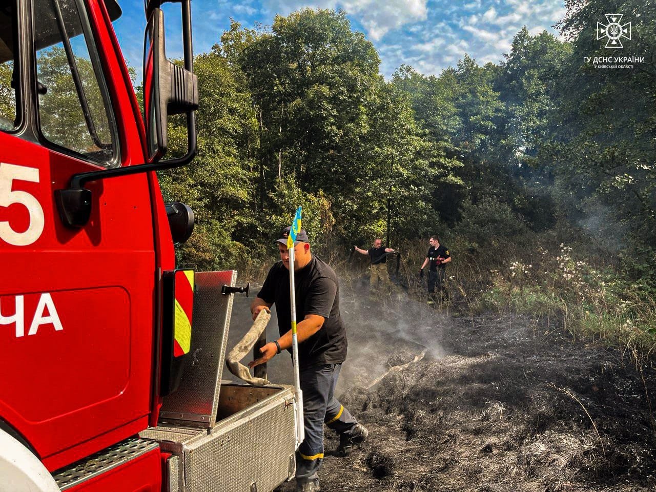 На Київщині масштабні пожежі в екосистемах: де згоріло 5 гектарів настилу 1