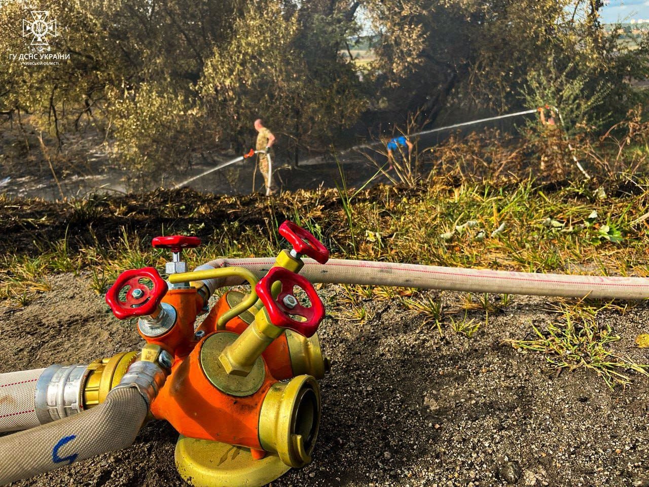 На Київщині масштабні пожежі в екосистемах: де згоріло 5 гектарів настилу 5