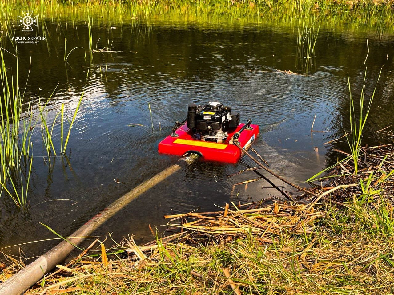 На Київщині масштабні пожежі в екосистемах: де згоріло 5 гектарів настилу 8