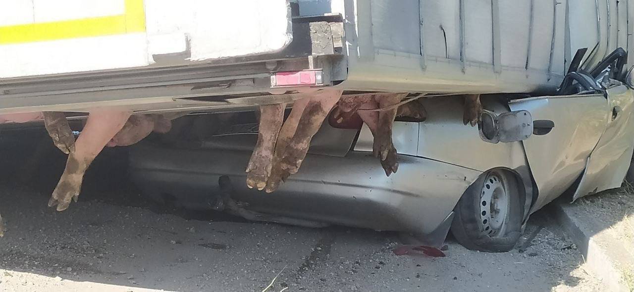 На Київщині фура з тваринами перекинулась на легковик: в ВАЗі роздавило людину 1