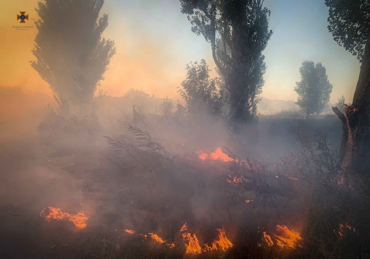 На Київщині за вихідні сталось 80 пожеж в екосистемах: у вогні гинуть тваринки 1