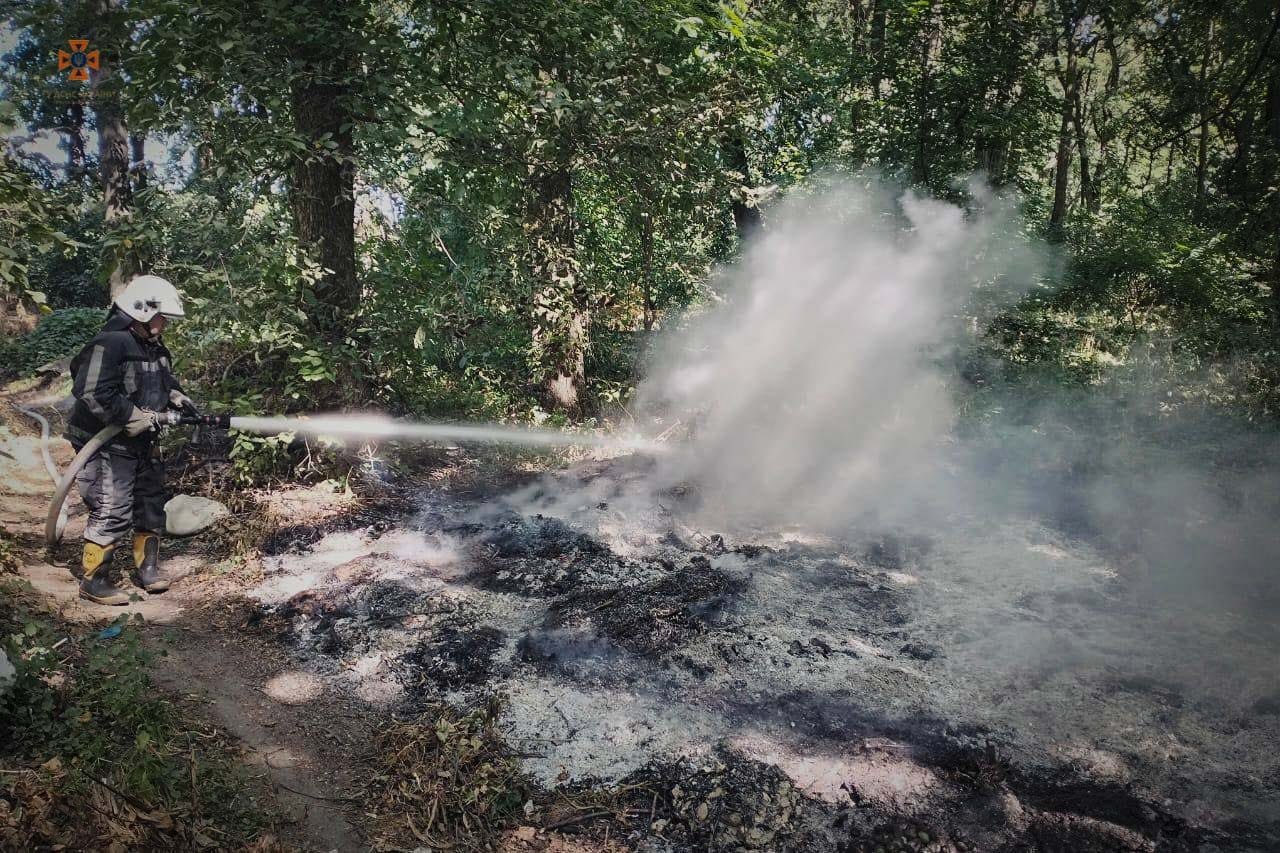 На Київщині за вихідні сталось 80 пожеж в екосистемах: у вогні гинуть тваринки 4