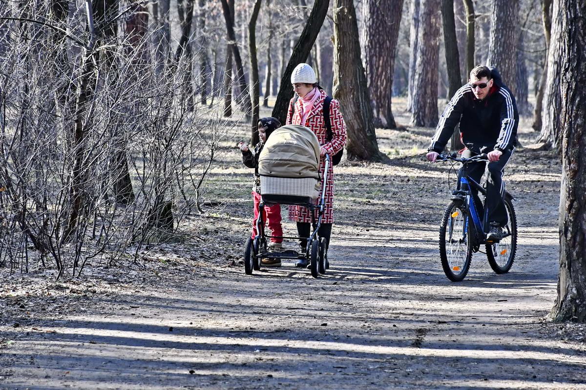 В парке приятно прогуляться с ребенком 