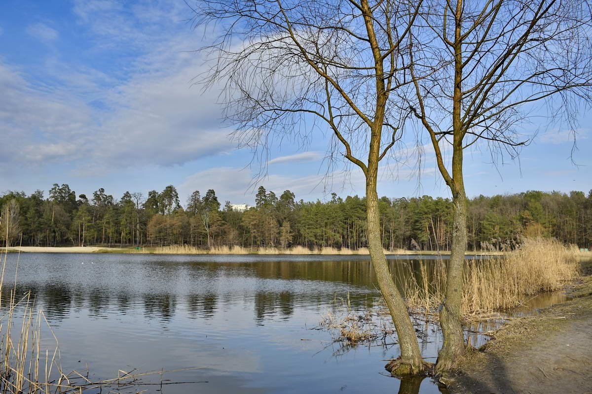 В реконструкцию парка планируют вложить 46 255 000 миллионов гривен