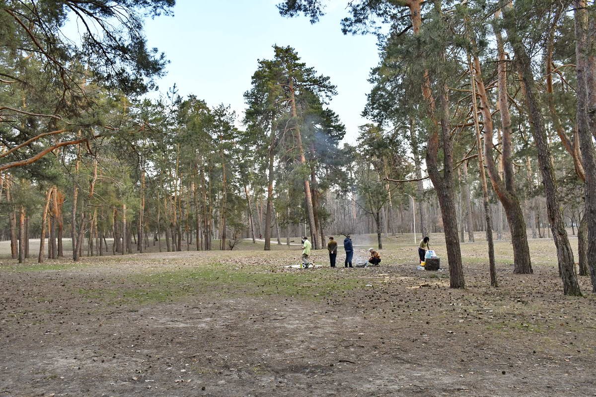 Отдых на природе 