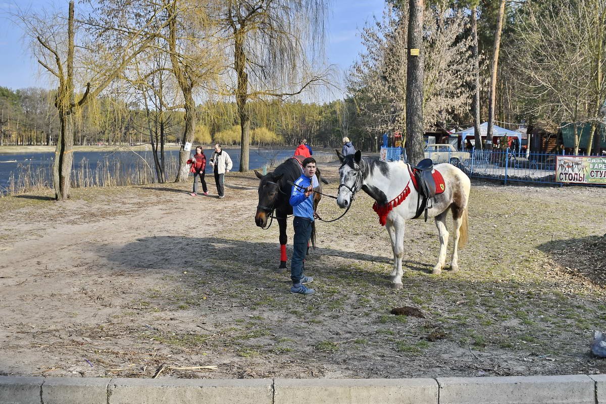 Фото: Андрей Шматов 