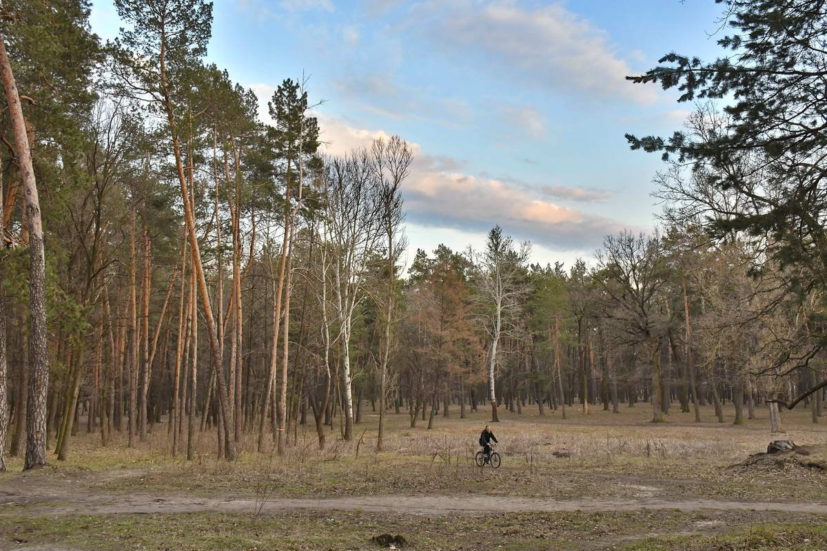 Скоро в парке появятся новые газоны 
