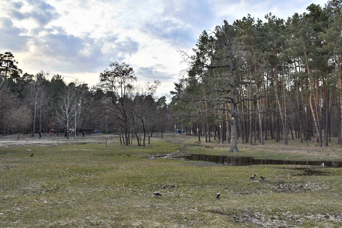 Завораживающая красота 