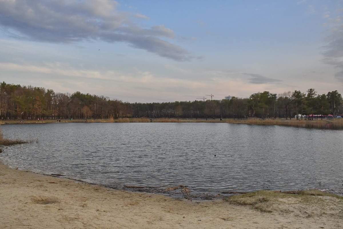 В рамках реконструкции а парке появятся много новых зеленых насаждений 