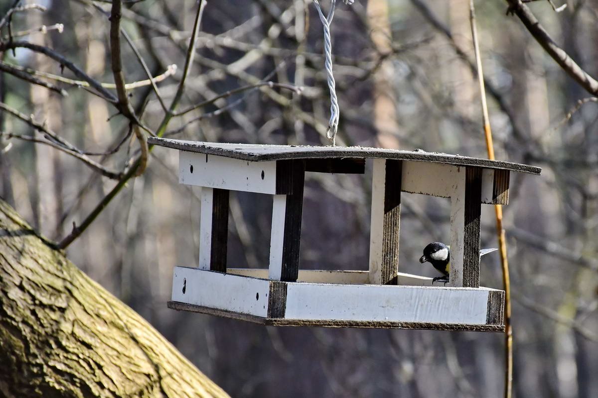 Пора подкрепиться 