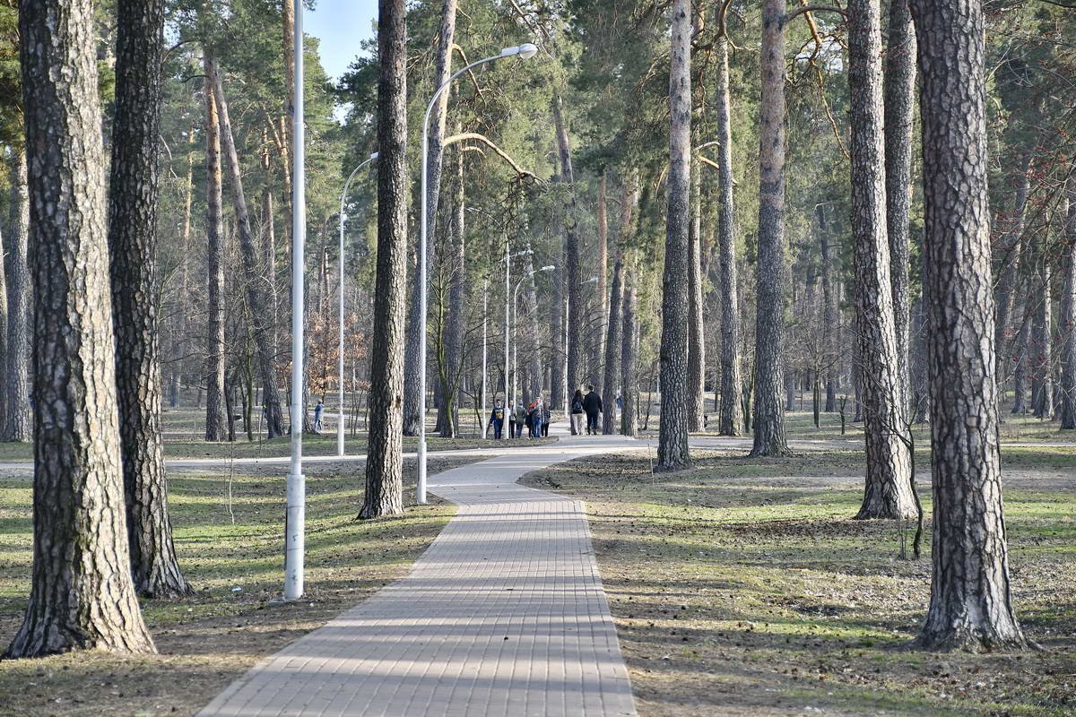 Фото: Андрей Шматов 