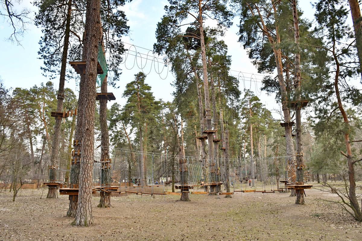 Веревочный парк ожидает посетителей 