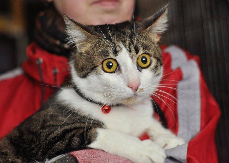 Марко ждет настоящего друга. Может, это именно вы? Марко ждет настоящего друга. Может, это именно вы?