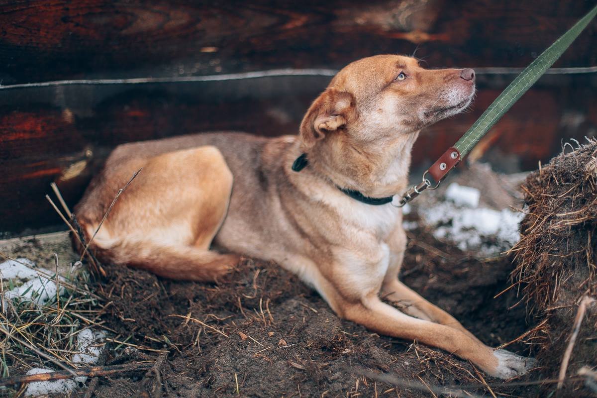 Невероятно трогательная, красивая, стройная девочка Лейла хочет домой Невероятно трогательная, красивая, стройная девочка Лейла хочет домой