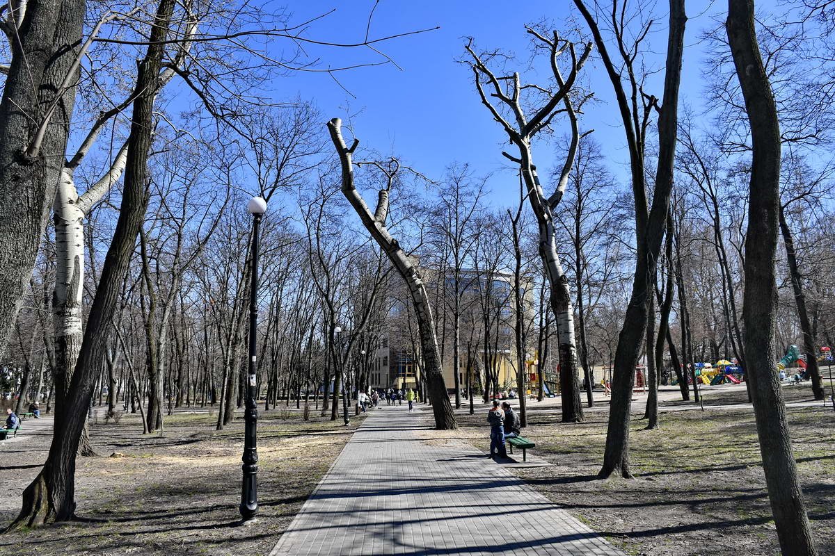 В парке планируют установить беседку, которая одновременно будет служить укрытием от дождя и солнца